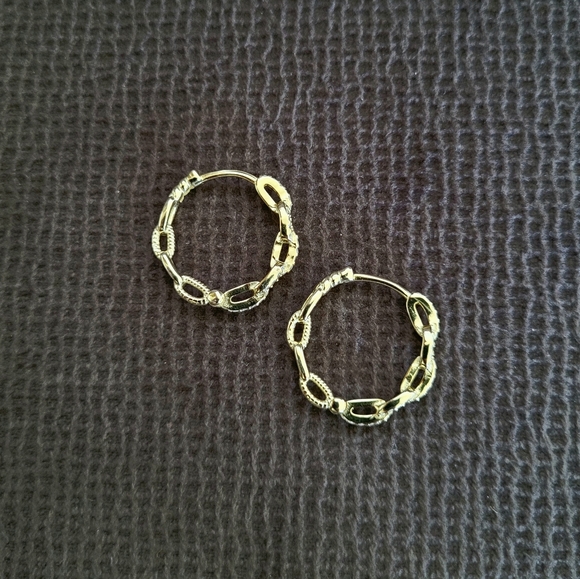 ✨️HP✨️Stella Rose🌹Gold💛 Chain🔗 Link Hoop Earrings - Picture 4 of 14